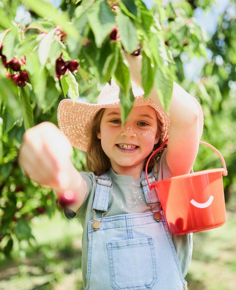 Cherry picking