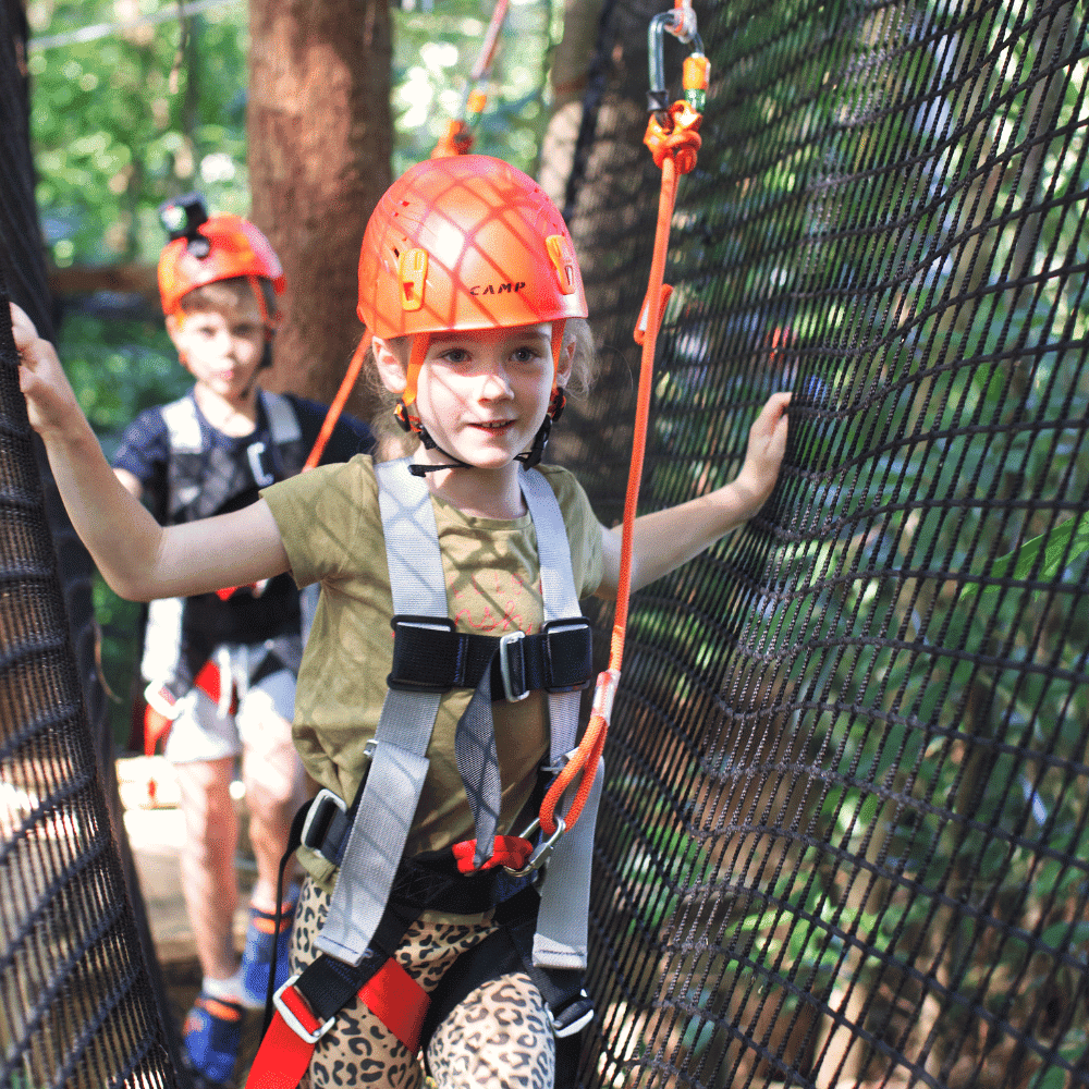 Junior tree top challenge