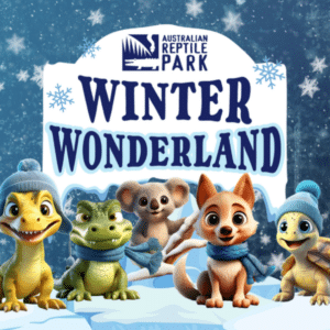 Winter Wonderland