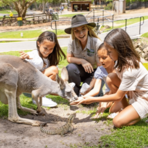 Currumbin Wildlife Sanctuary