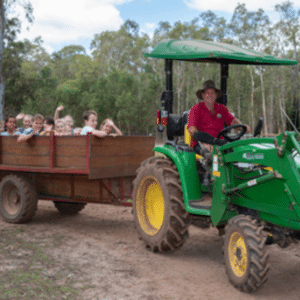 White Ridge Farm