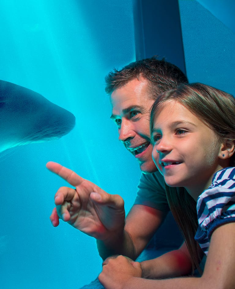 Dad and daughter mesmerized by the aquarium