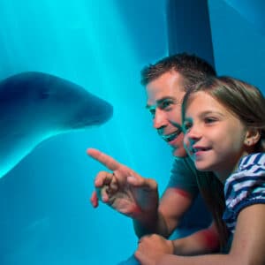 Sea Life Sunshine Coast fun for all ages.