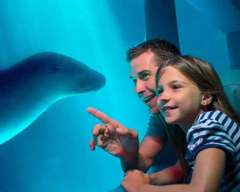 Sea Life Sunshine Coast fun for all ages.