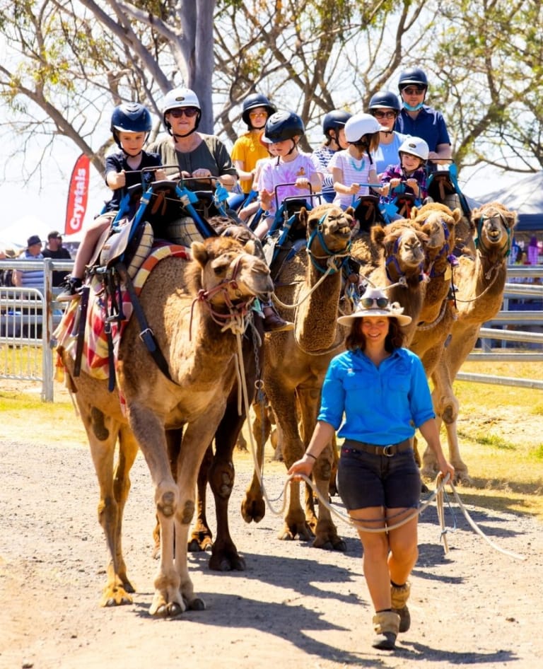 Children love going on the camel ride