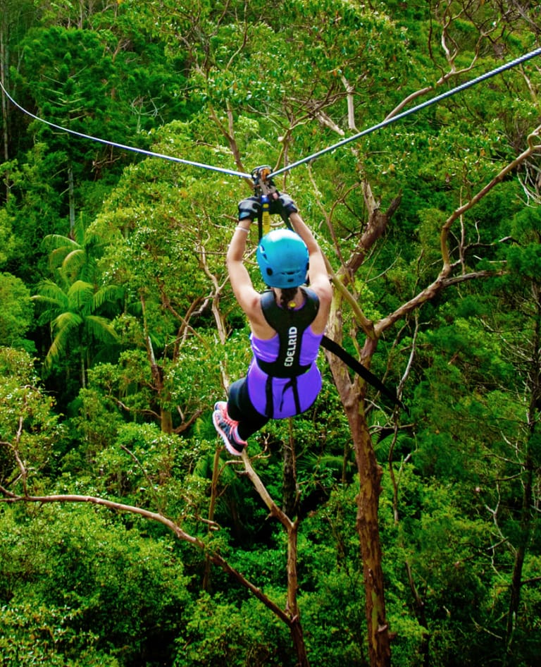 Lady on zipline over ancient forests.