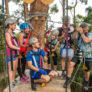 Group of friends climbing at Tree Top Challenge