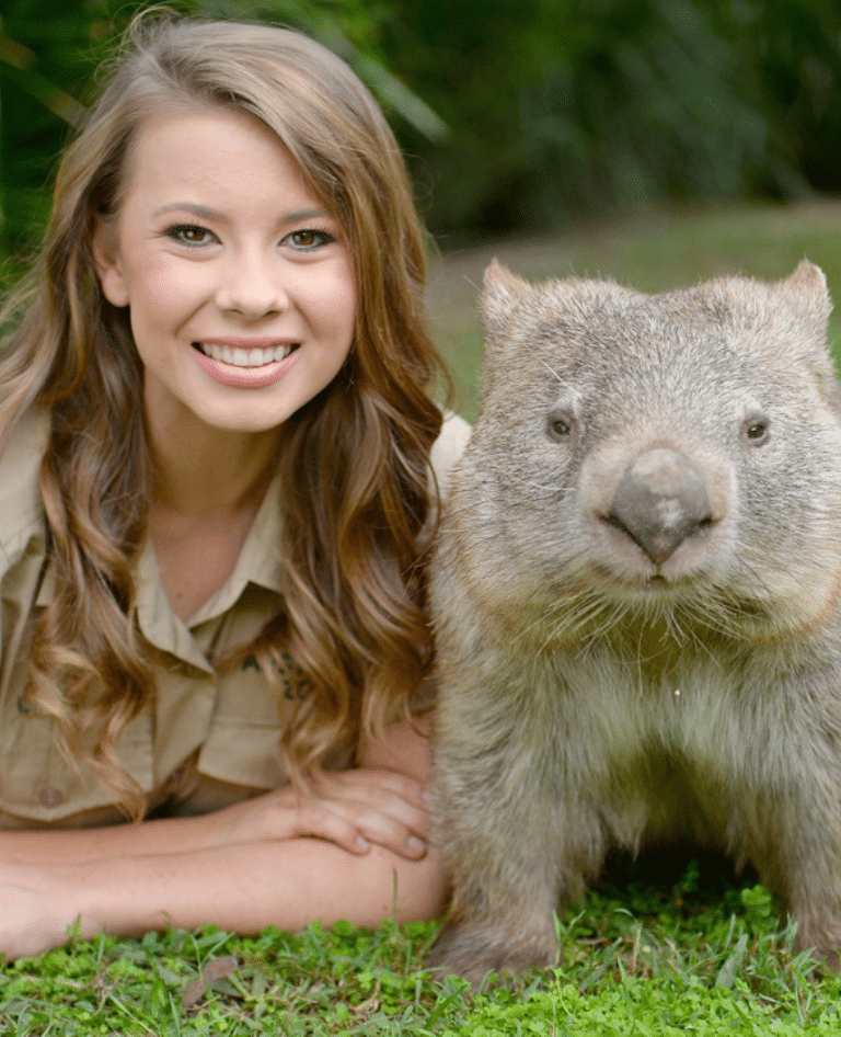 Australia Zoo Wombat