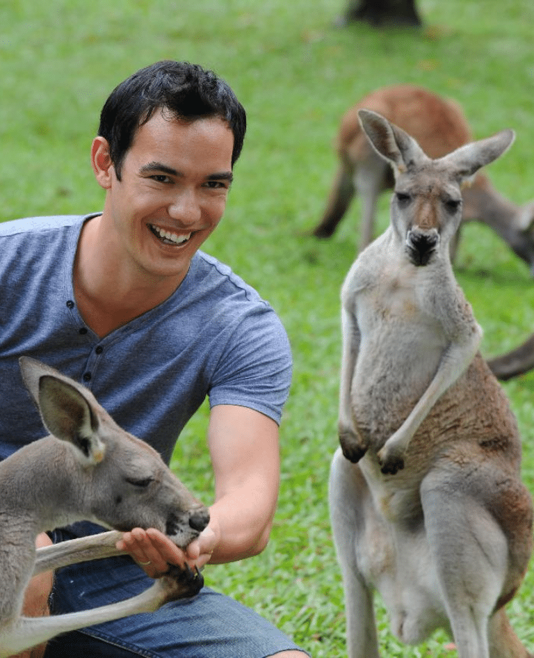 Australia Zoo kangaroos