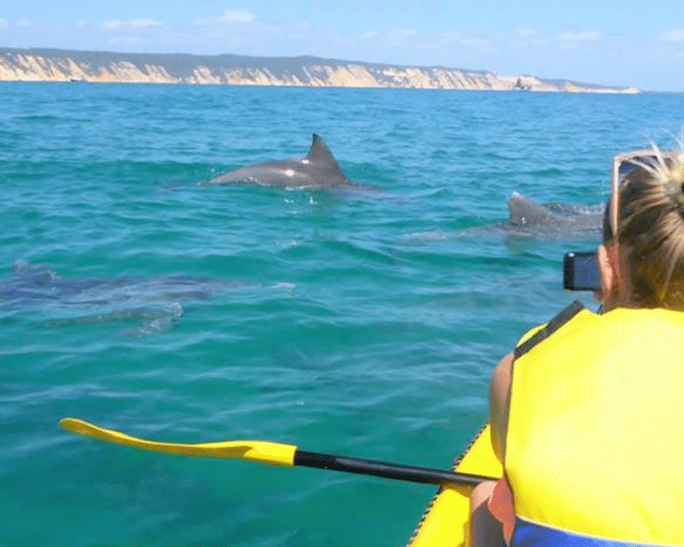 Epic Ocean Adventures Dolphins