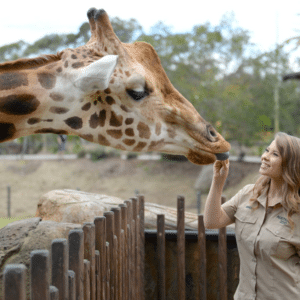 Australia Zoo Tour from Noosa