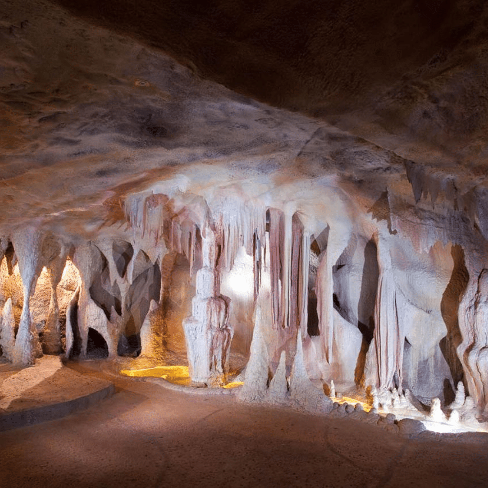 Glow Worm Cave