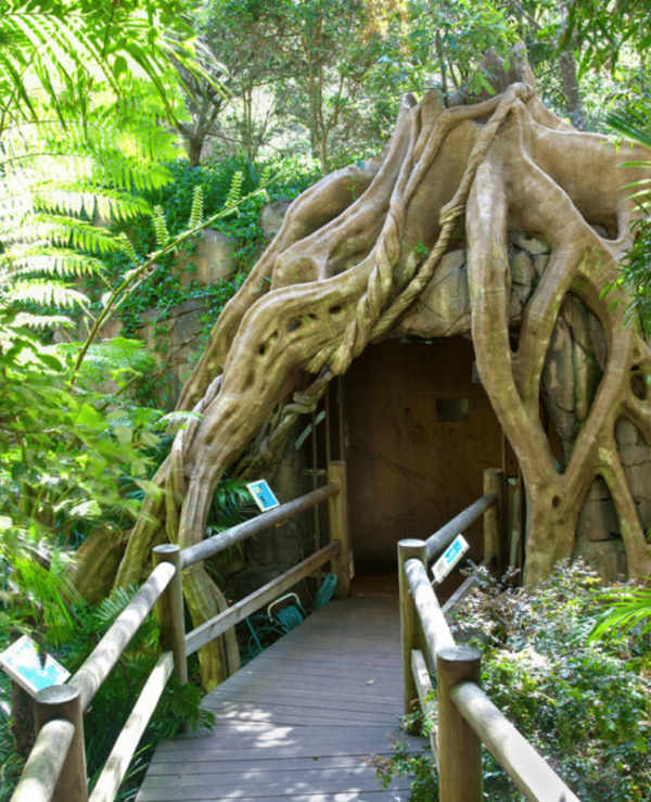 Gondwana Rainforests Discovery SPARK POP