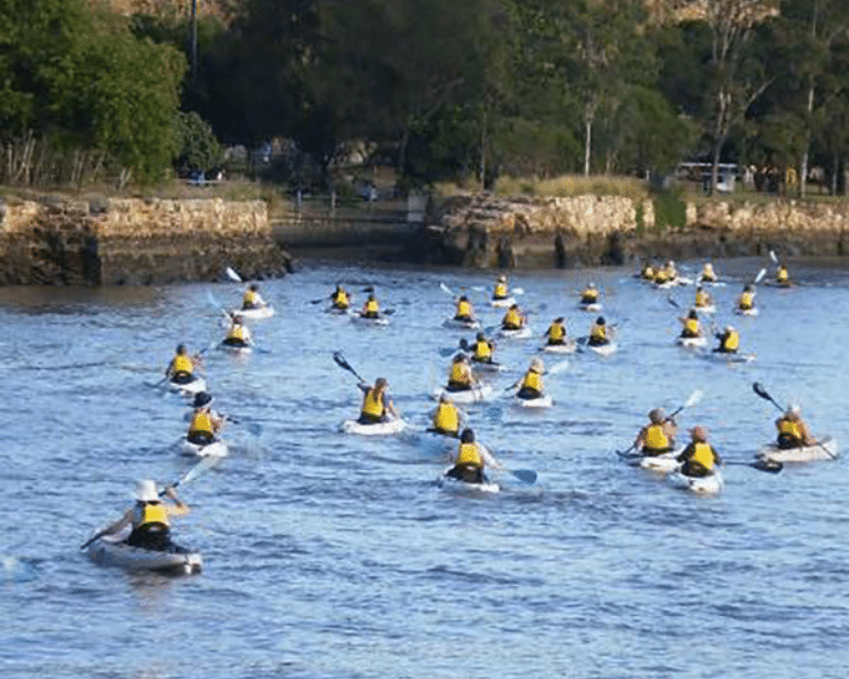Kayak Adventure Brisbane River