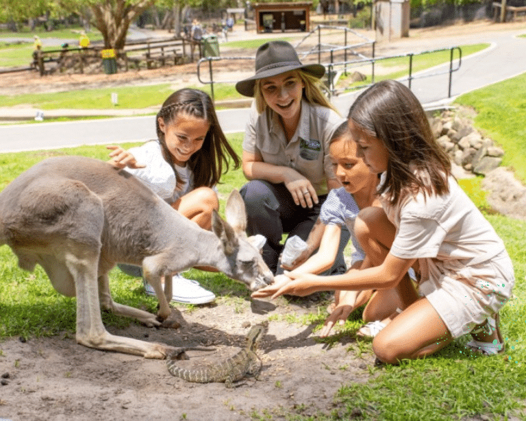 Kangaroo Feeding with Kids and Keeper