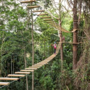 High at TreeTop Challenge