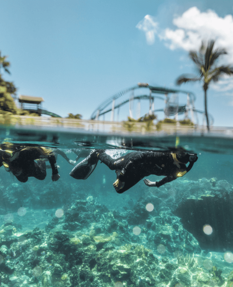 Tropical Reef Snorkel at Sea World