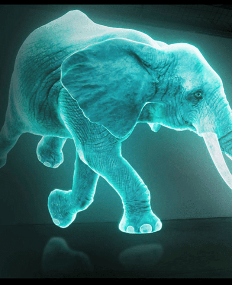 Holographic elephant