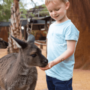 Feeding at Wild Life Sydney Zoo