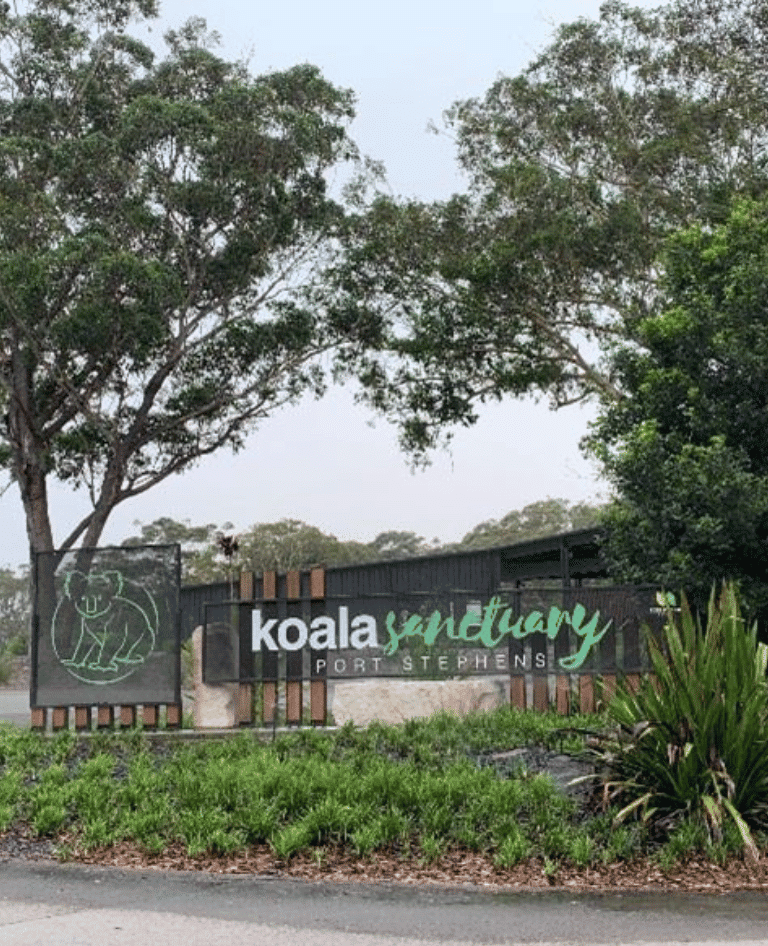 Koala Sanctuary Port Stephens