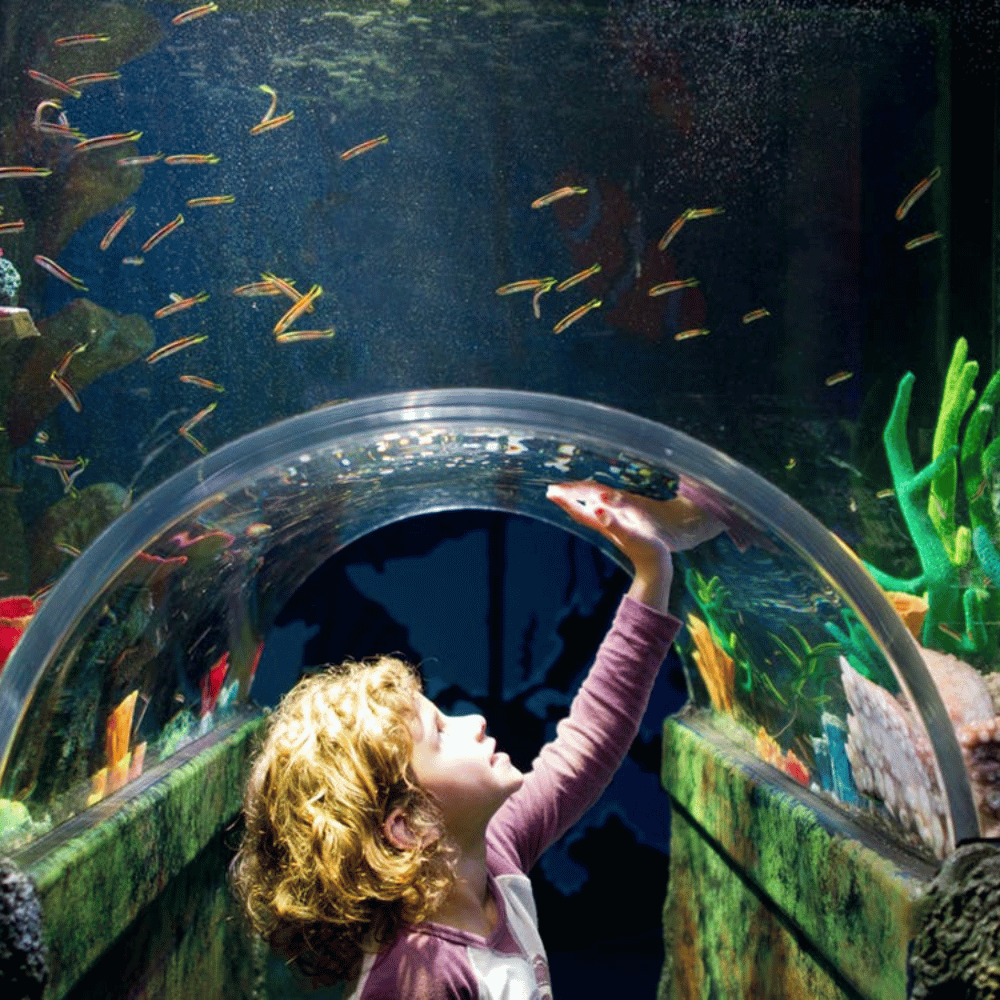 Sea Life Melbourne