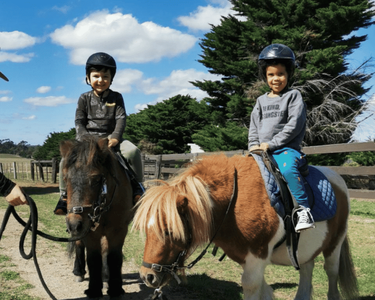 Woodlands Pony Ride