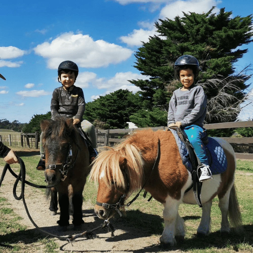 Woodlands Pony Ride