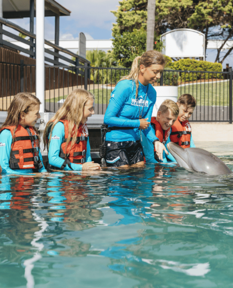 Dolphin Deep Water Adventure with children