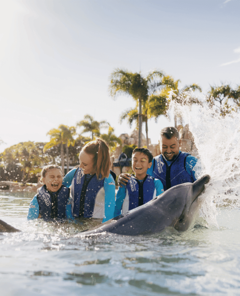 Dolphin Deep Water Adventure with Family