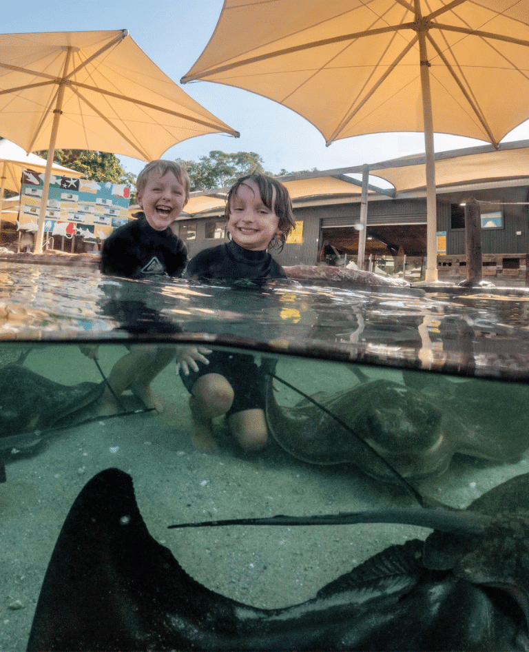 Pet and feed the sharks and rays