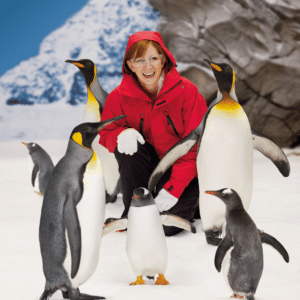 Meet the arctic penguins at Sea World