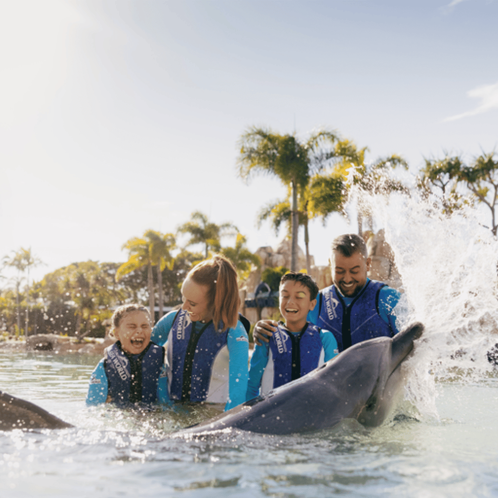 Dolphin Deep Water Adventure Sea World