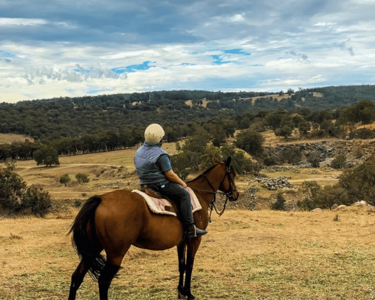 Jarrahdale Horse Rideout