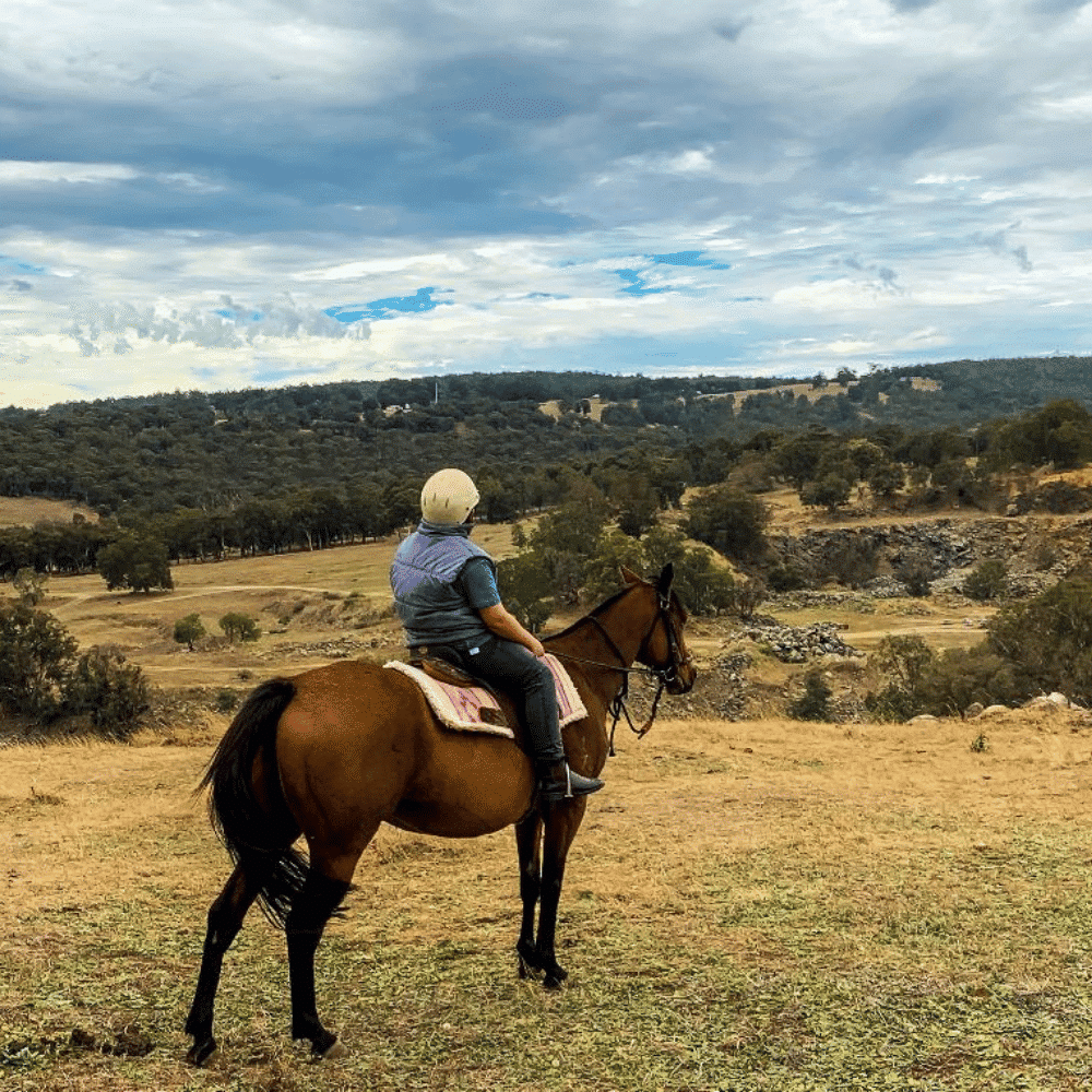 Jarrahdale Horse Rideout