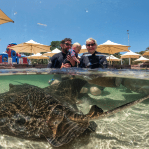 Family encounter stingrays