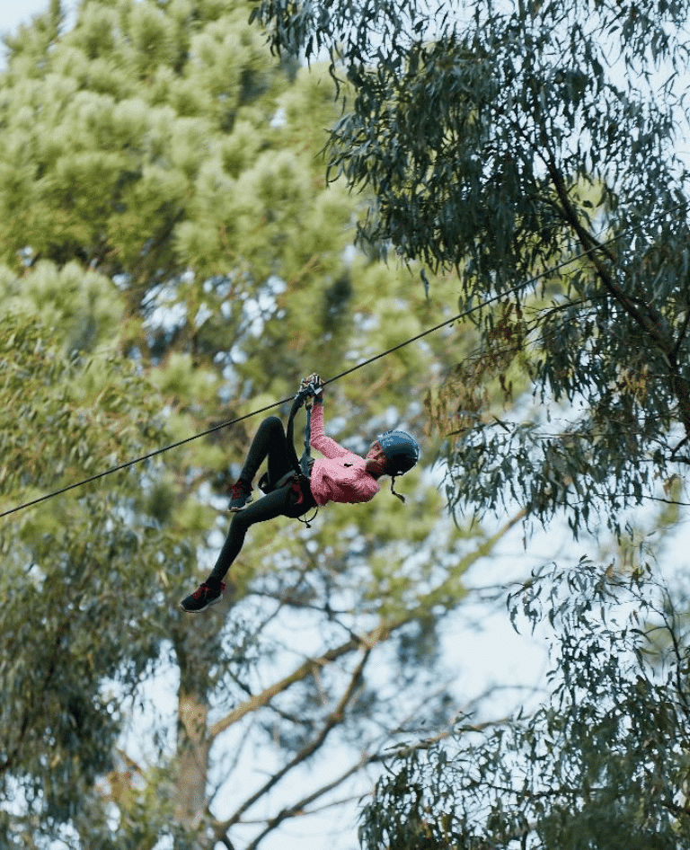 Flying Fox at Forest Adventures