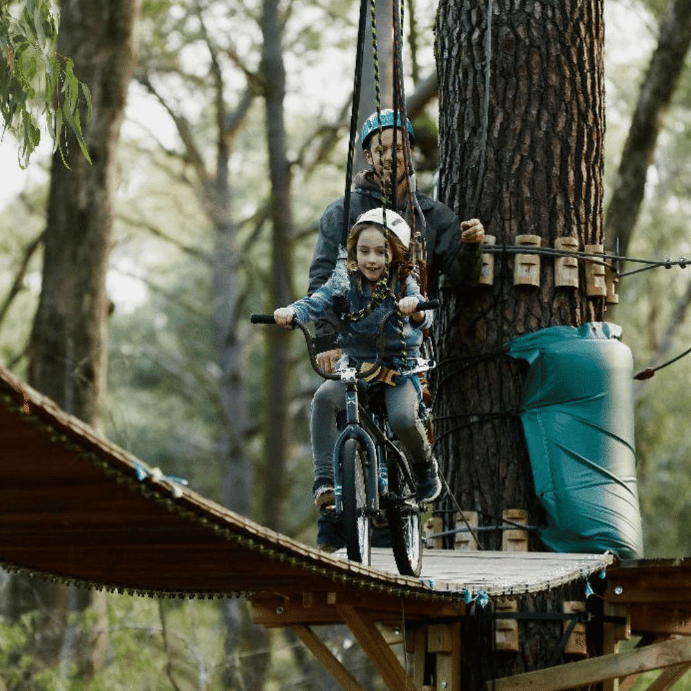 Forest Adventures BMX on a wire