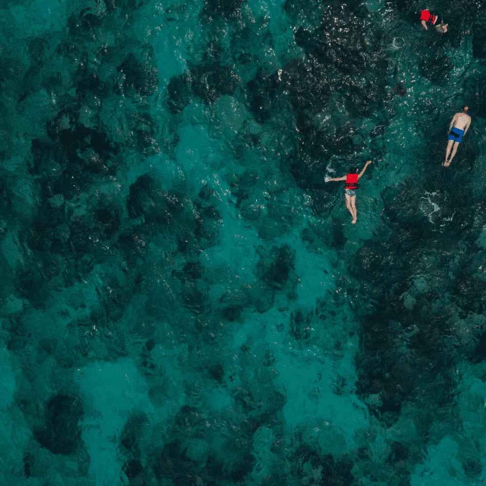 Snorkeling