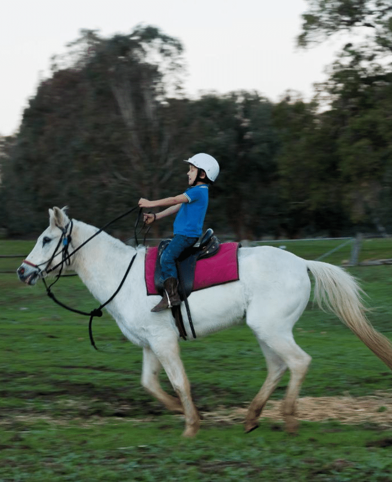 Boy horse riding at Jarrahdale