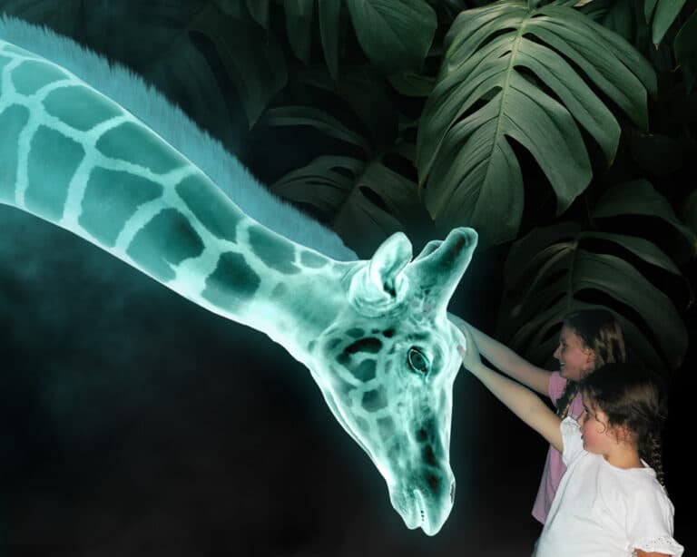 Giraffe Hologram
