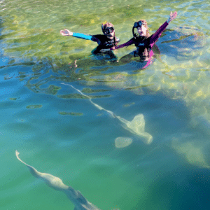 Irukandji Zebra Sharks & children