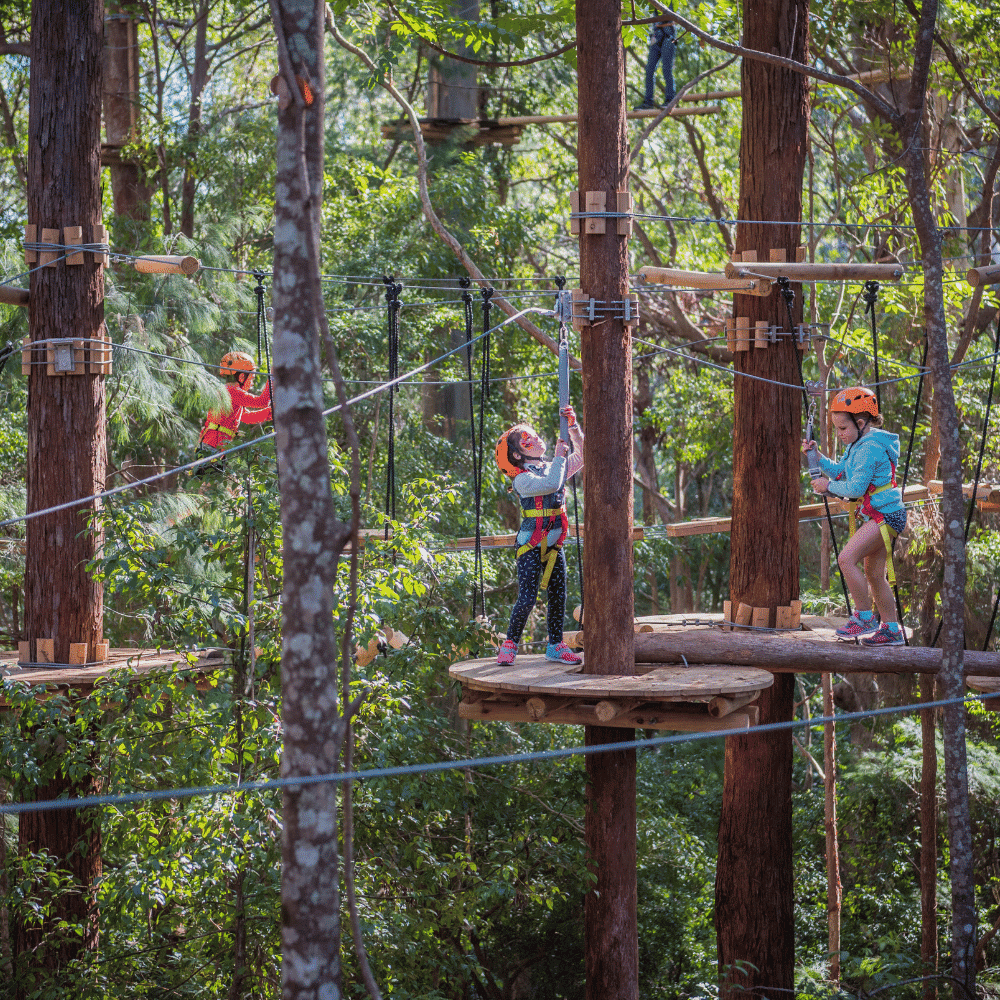 Treetops Adventure Newcastle