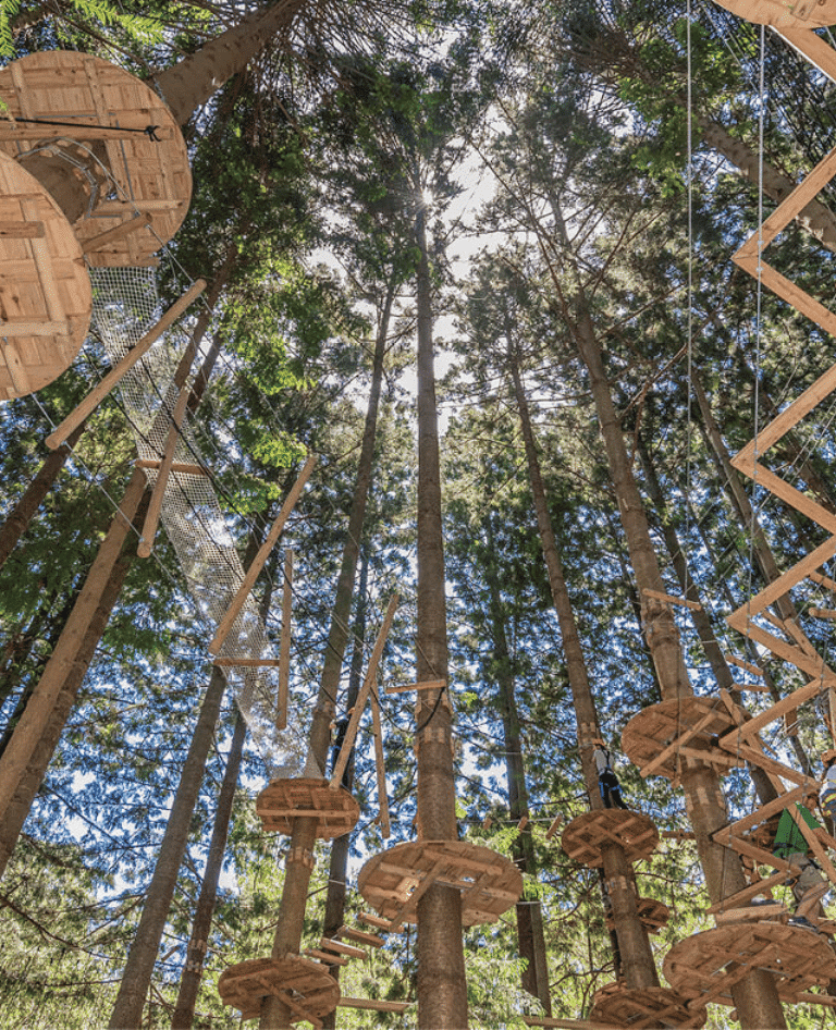 Treetops Adventure Nowra High Ropes