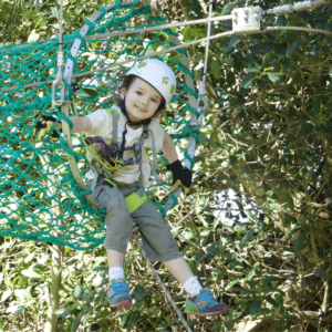 Treetops Adventures_Nowra Junior