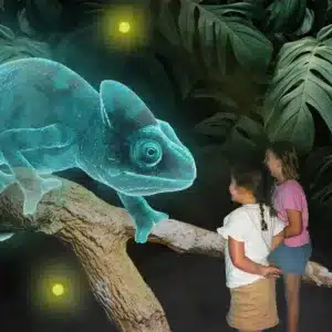 Chameleon Hologram