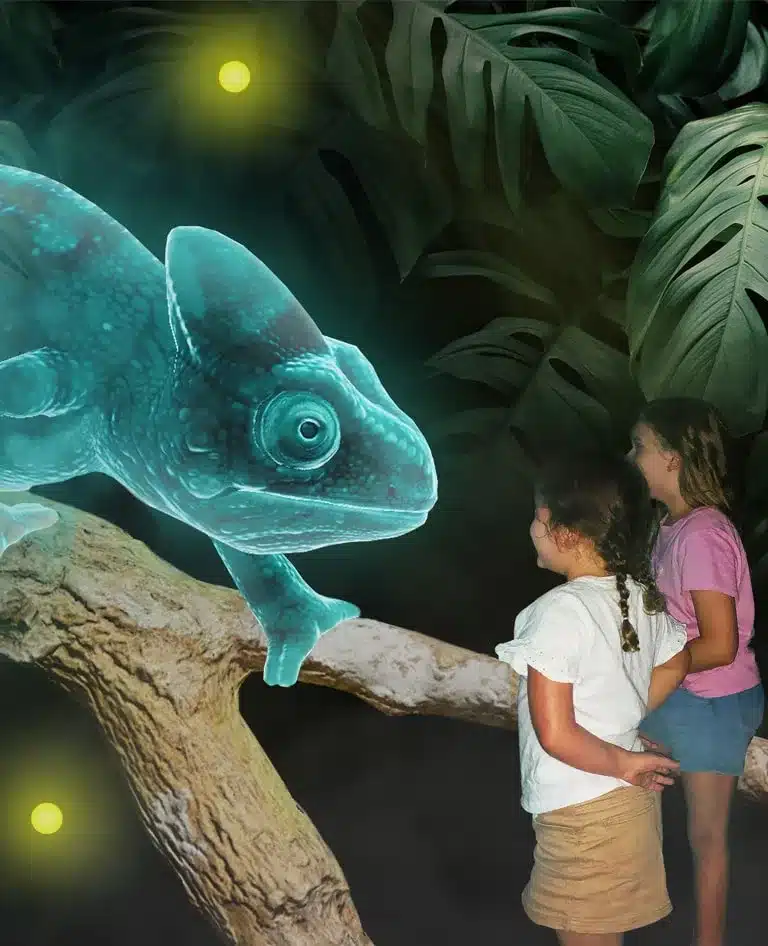 Chameleon Hologram