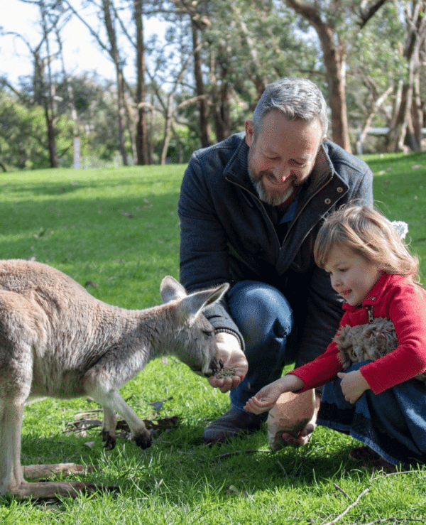 Cleland Wildlife Park - SPARK POP