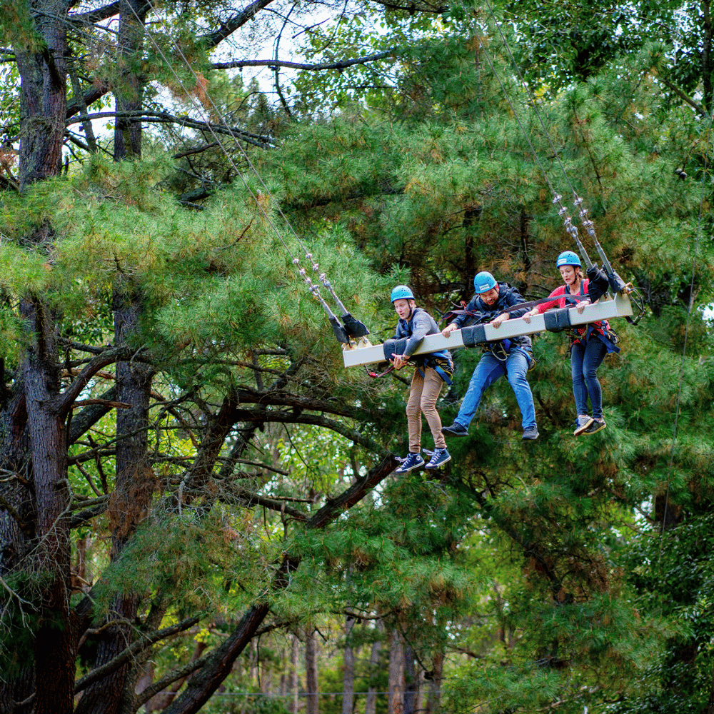 Three kids on the Mega Swing