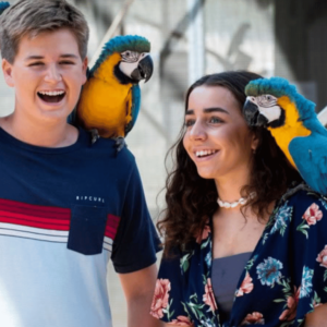 Kids experiencing the Maleny Macaw at Bird World