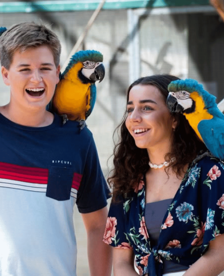 Kids experiencing the Maleny Macaw at Bird World
